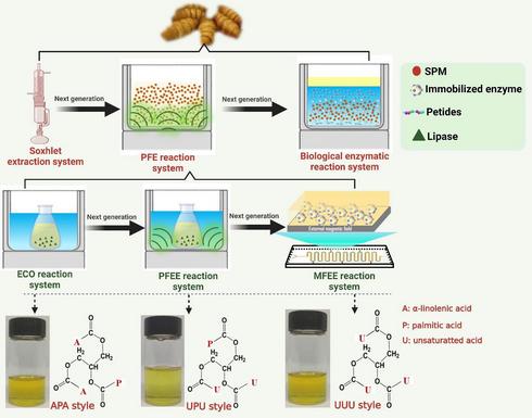 廣西蠶業(yè)信息網(wǎng) 網(wǎng)絡(luò)科技驅(qū)動(dòng)下的技術(shù)創(chuàng)新與發(fā)展